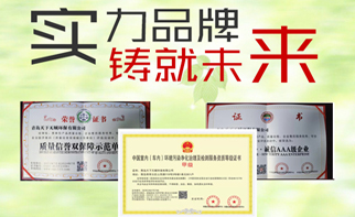 品牌实力